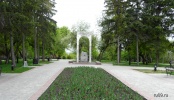 nb28963_1.jpg