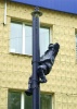 nb31144_1.jpg