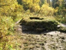 Файл=talovye_chashi_1.jpg
Объём=86KB
Размеры=600x450
Дата=03 июня 2014 talovye_chashi_1.jpg