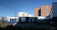 zz31312_1.jpg