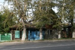 zz46083_1.jpg