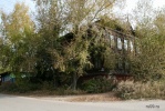 zz46099_1.jpg
