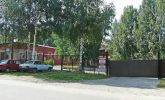 berezovaya2_5.jpg