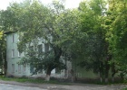 prolet37.jpg