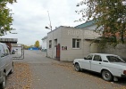 shegar_per85shegar.jpg