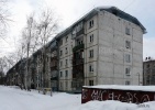 sib81.jpg
