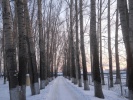 Файл=izobrazhenie_047.jpg
Объём=405KB
Размеры=1024x768
Дата=24 января 2012 izobrazhenie_047.jpg
