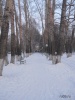 Файл=izobrazhenie_050.jpg
Объём=182KB
Размеры=576x768
Дата=24 января 2012 izobrazhenie_050.jpg
