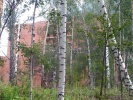 irkutskijj_trakt_193_1_usl.jpg